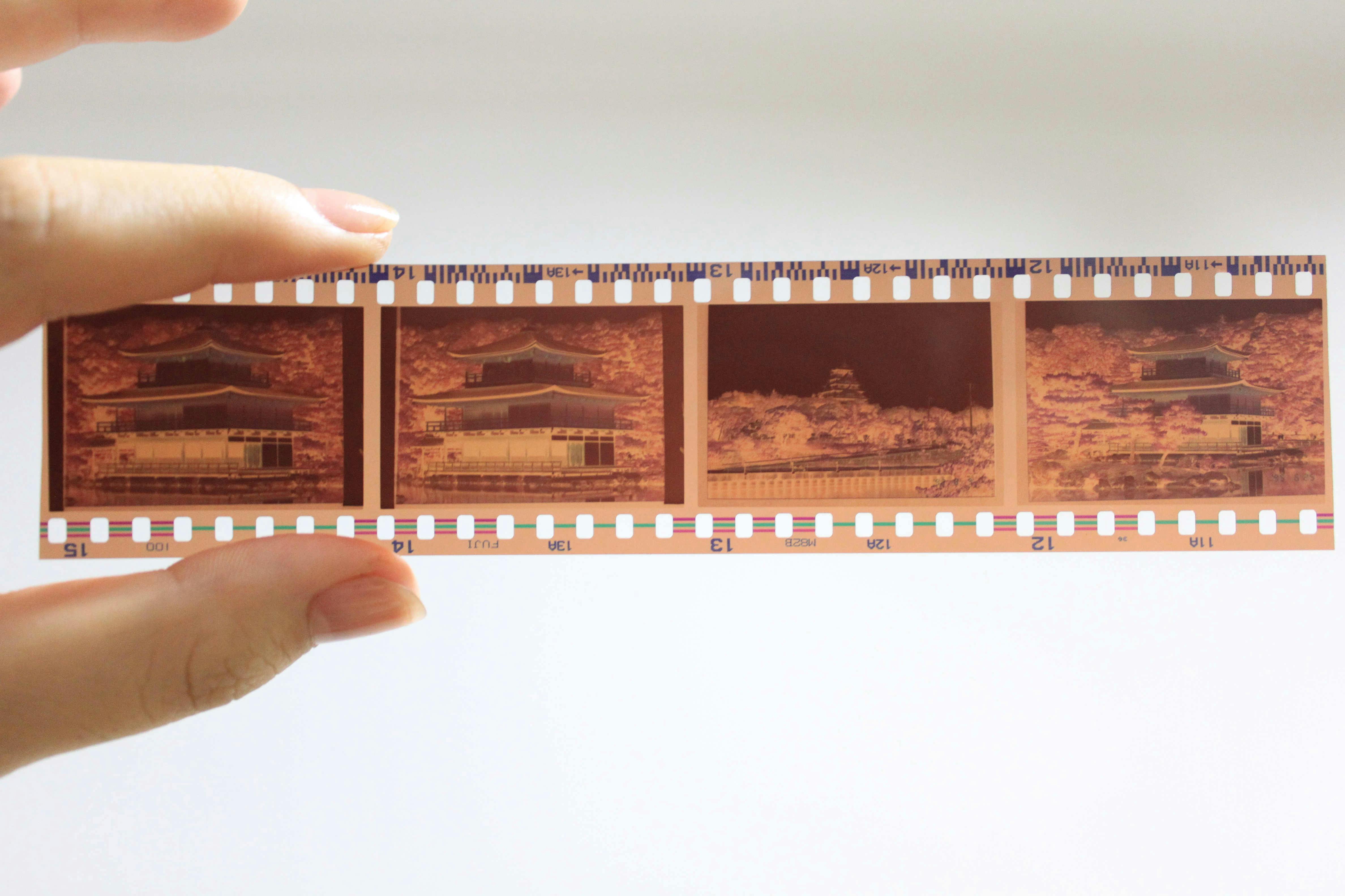 Smart Ways to Watermark Photos for Better Protection in 2025