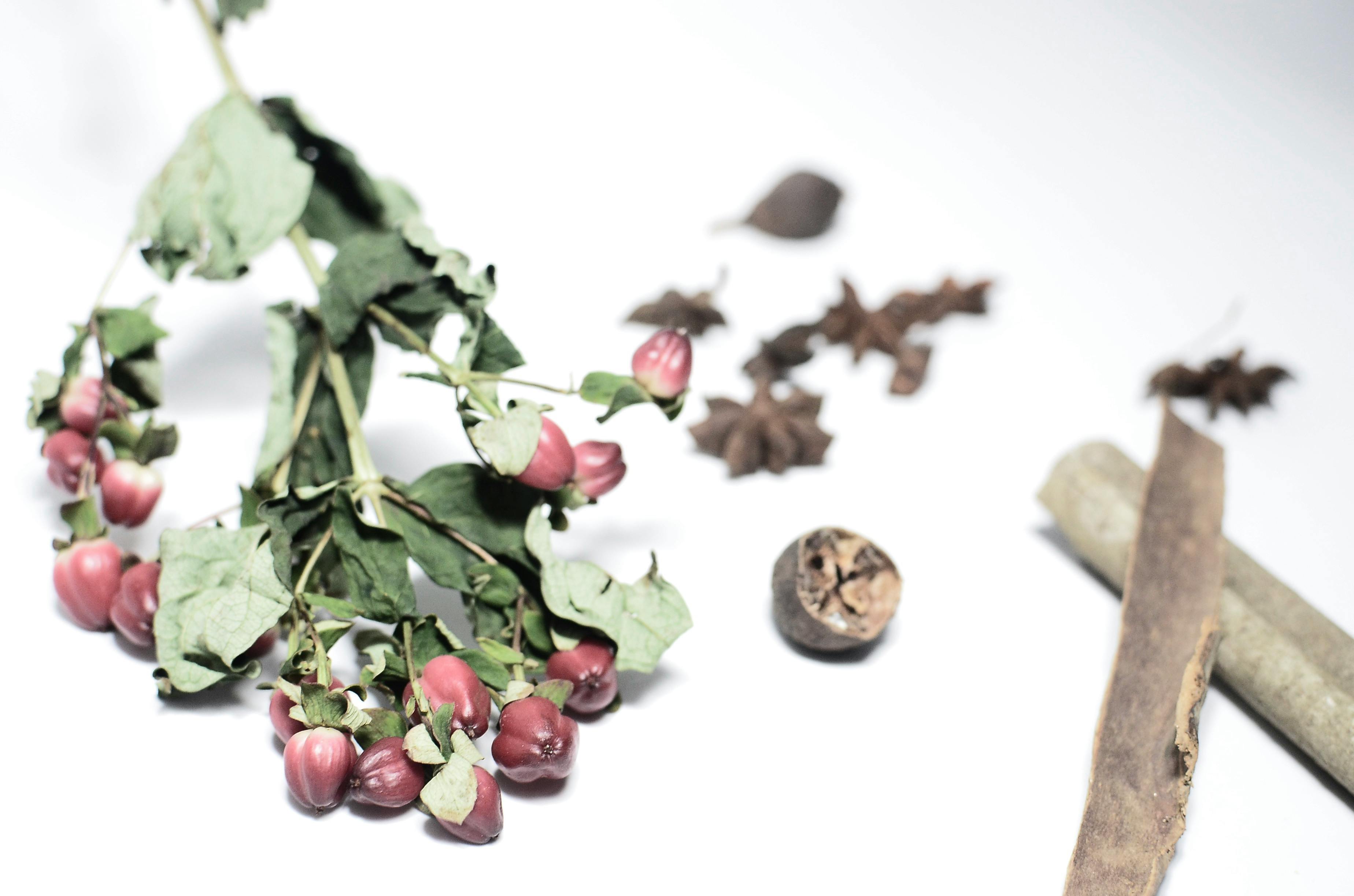 Smart Ways to Optimize Probiotics for Maximum Benefit by 2025