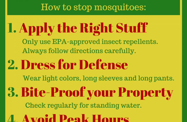 Effective Ways to Keep Mosquitoes Away in 2025: Essential Tips for a Bite-Free Summer!