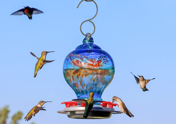 Effective Ways to Attract Hummingbirds in 2025: Discover Simple Tips!